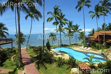 Coconut Paradise 52